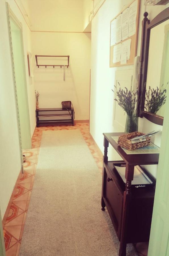 App Obrovac In The Centre - With Amazing Sea View! Apartment Пула Екстериор снимка
